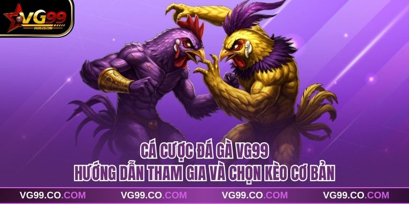 Cá Cược Đá Gà VG99 Hướng Dẫn Tham Gia Và Chọn Kèo Cơ Bản