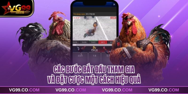 Các bước bắt đầu tham gia và đặt cược một cách hiệu quả