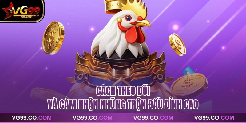 Cách theo dõi và cảm nhận những trận đấu đỉnh cao