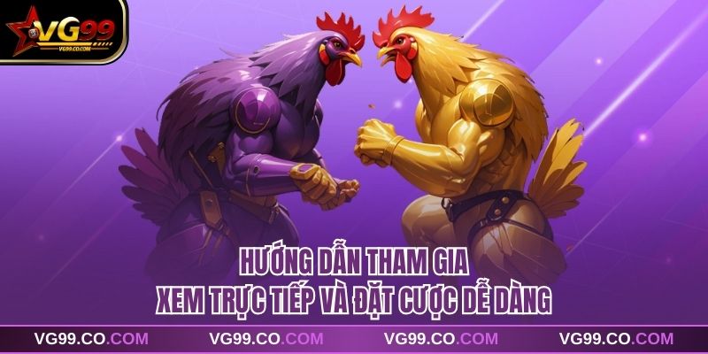 Hướng dẫn tham gia xem trực tiếp và đặt cược dễ dàng