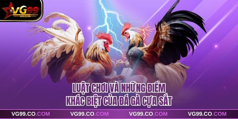 Luật chơi và những điểm khác biệt của đá gà cựa sắt