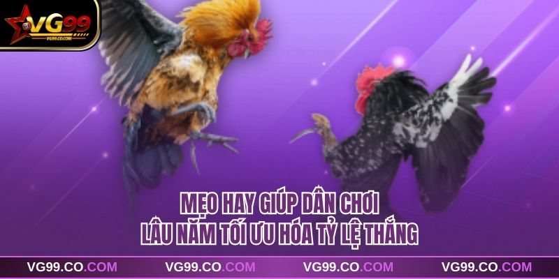 Mẹo hay giúp dân chơi lâu năm tối ưu hóa tỷ lệ thắng